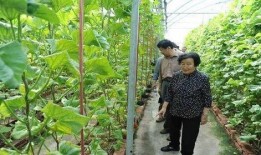 娱乐圈吃瓜代号蜜蜂是谁,娱乐圈神秘吃瓜者的真实身份揭秘